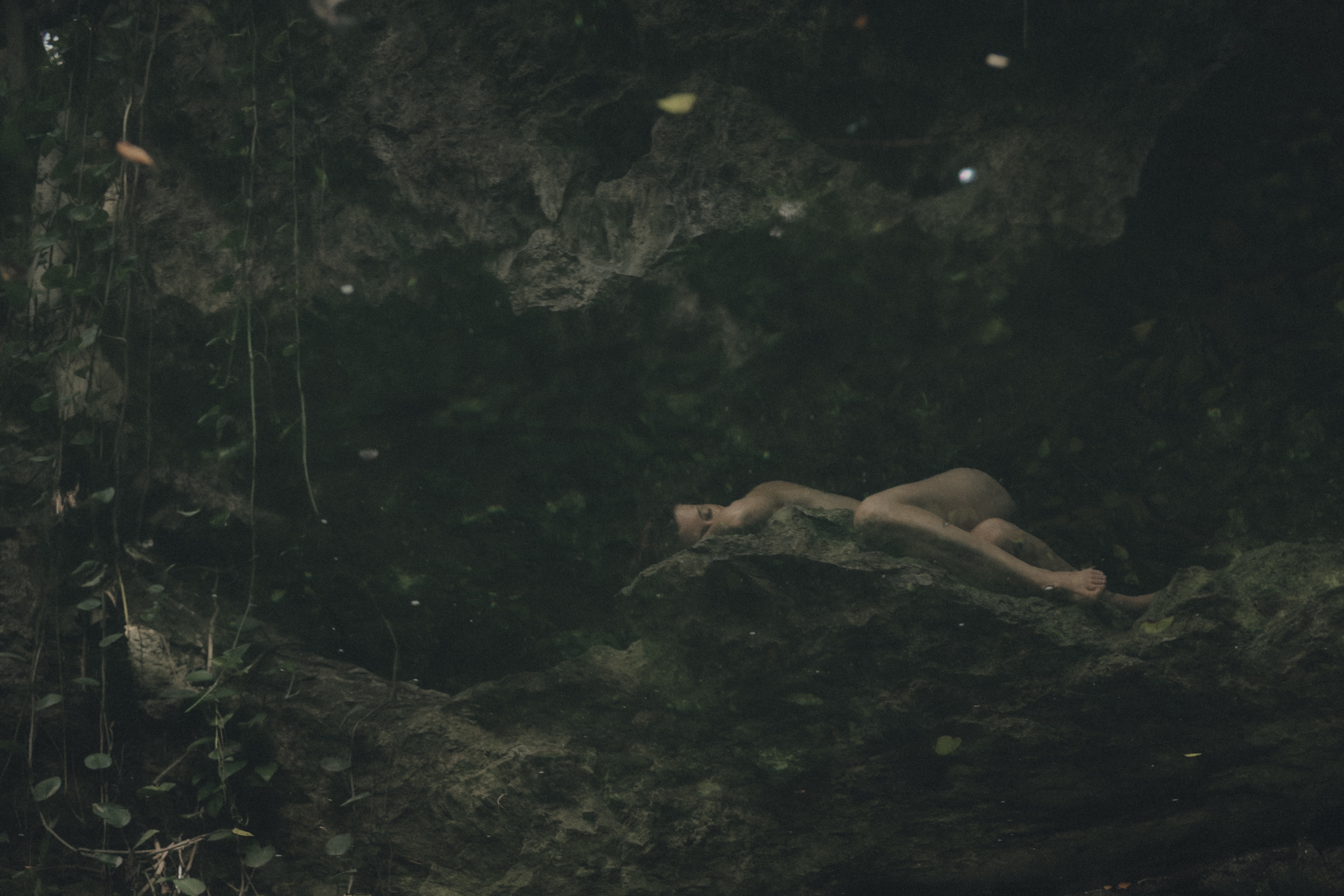 Delfina reclining in a dark forest landscape