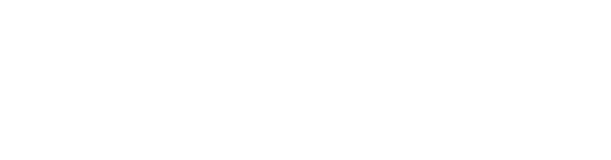 Guesty