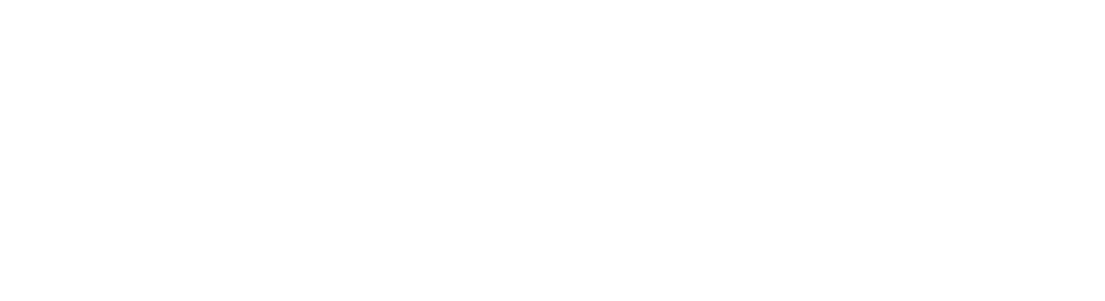 eviivo