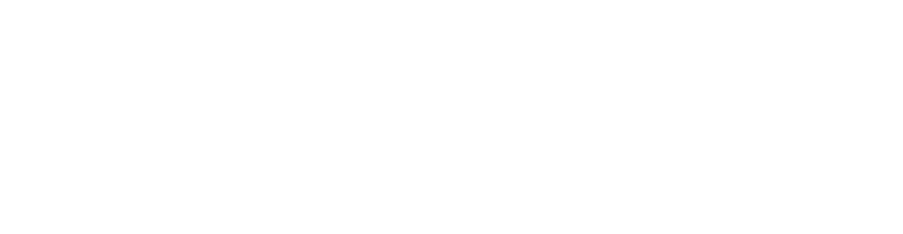 apaleo