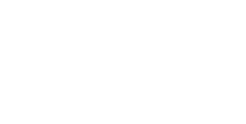 The Central House