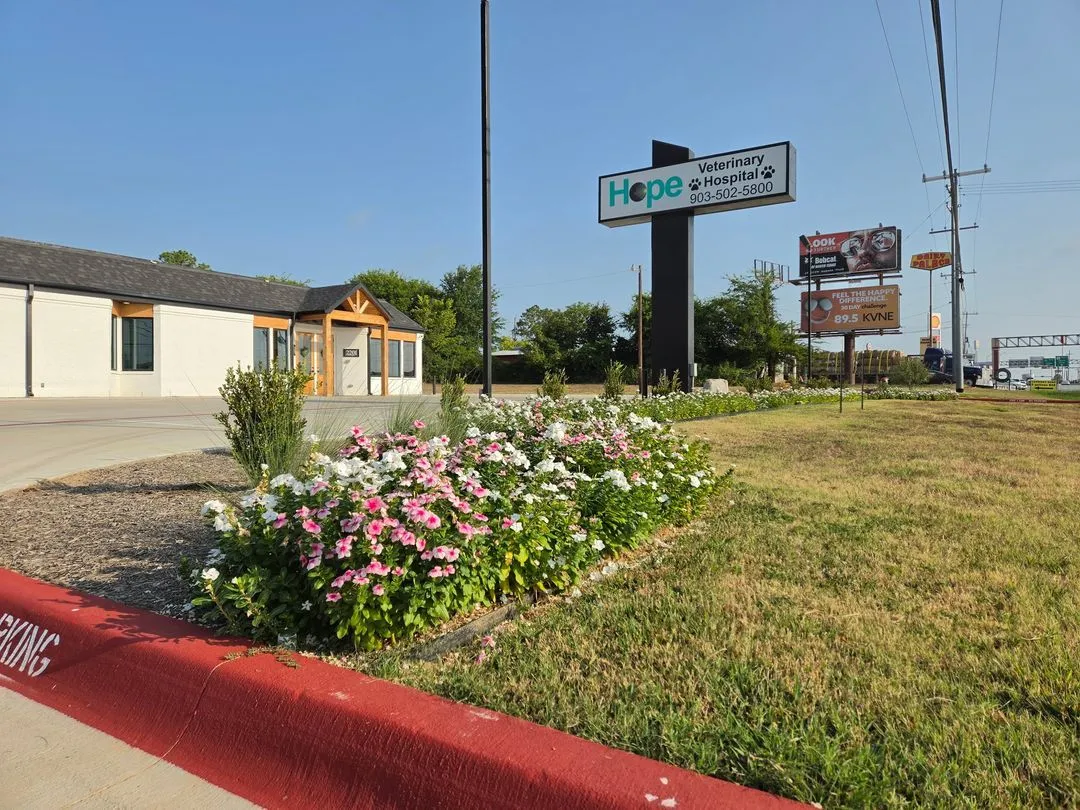 Seasonal flower beds at an East Texas commercial property