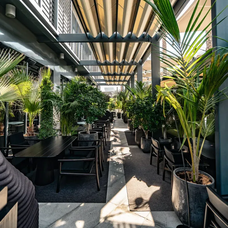 Green terrace at Myata Platinum with palm plants, dining tables and a shaded canopy