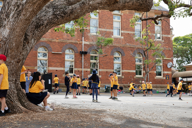 Leichhardt Public School, a Masters Voice education technology project