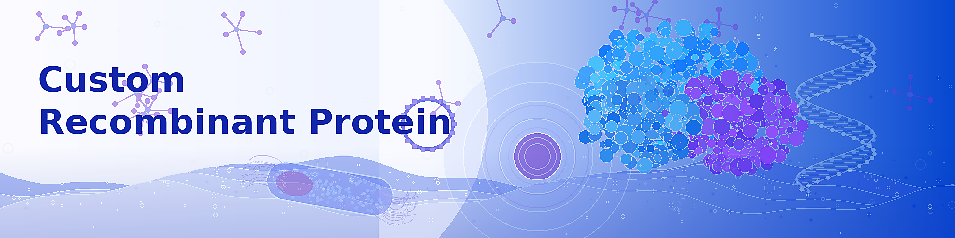 Custom Recombinant Protein