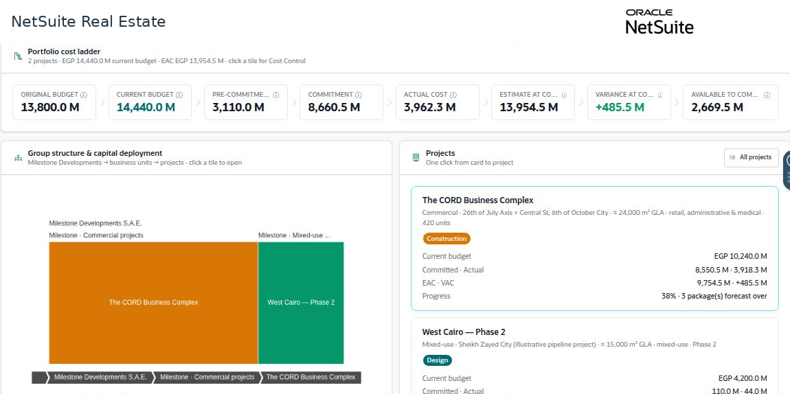 NetSuite Real Estate project portfolio populated workspace