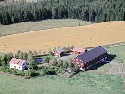Gammalnorsk spælsau på Kværner gård