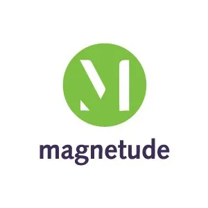 Magnetude Consulting Logo