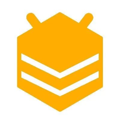 Visible One Logo