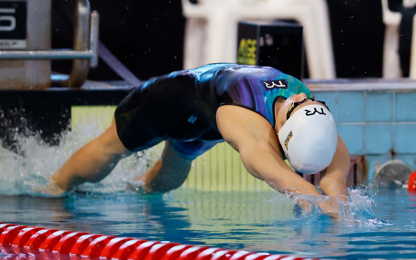 Mia Millar dives in during the 50m backstroke Superfinals