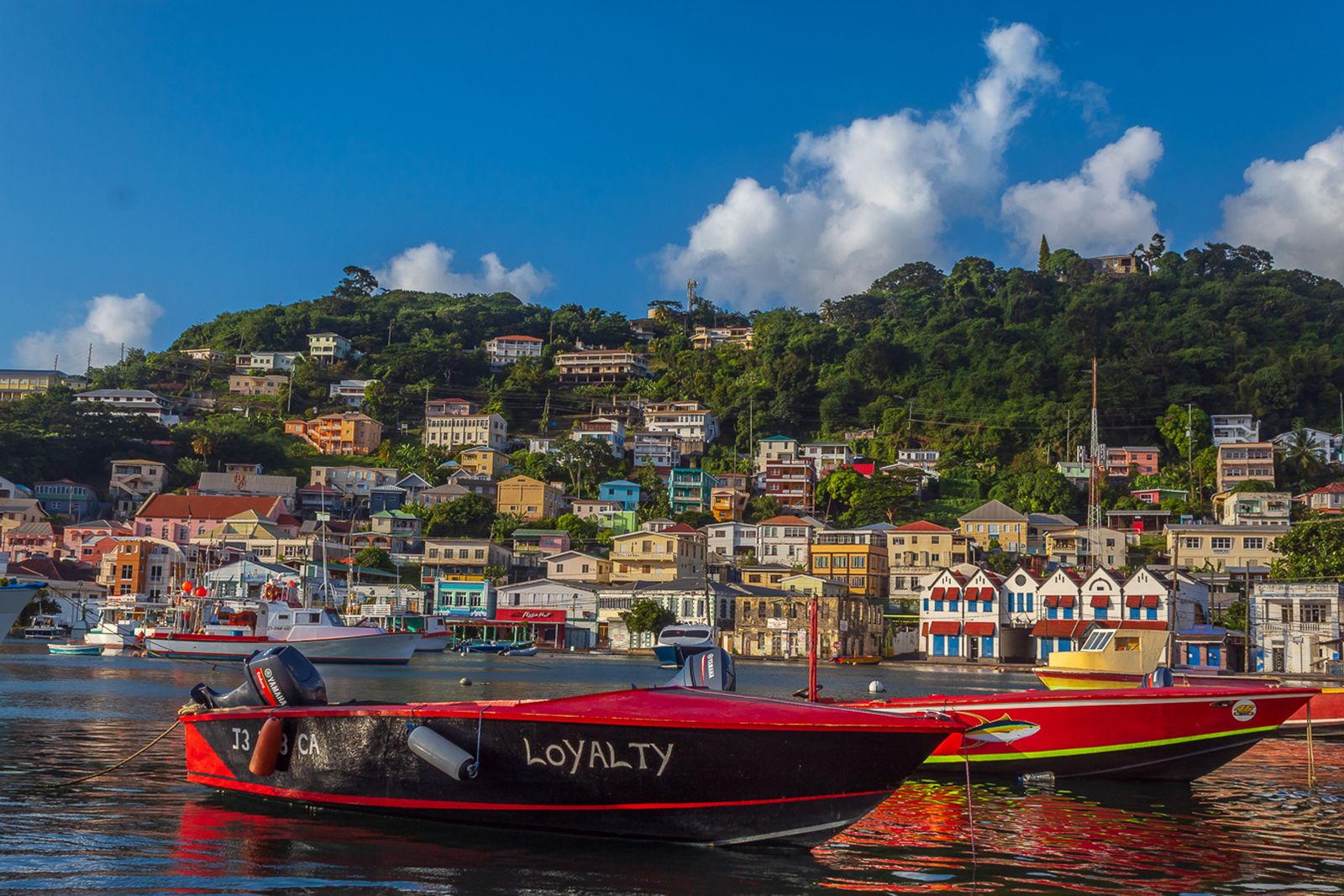 Colourful Grenada harbour and hillside