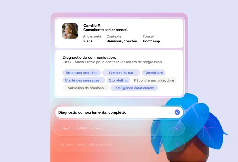 Analyse comportementale DISC et Sinéa Profile