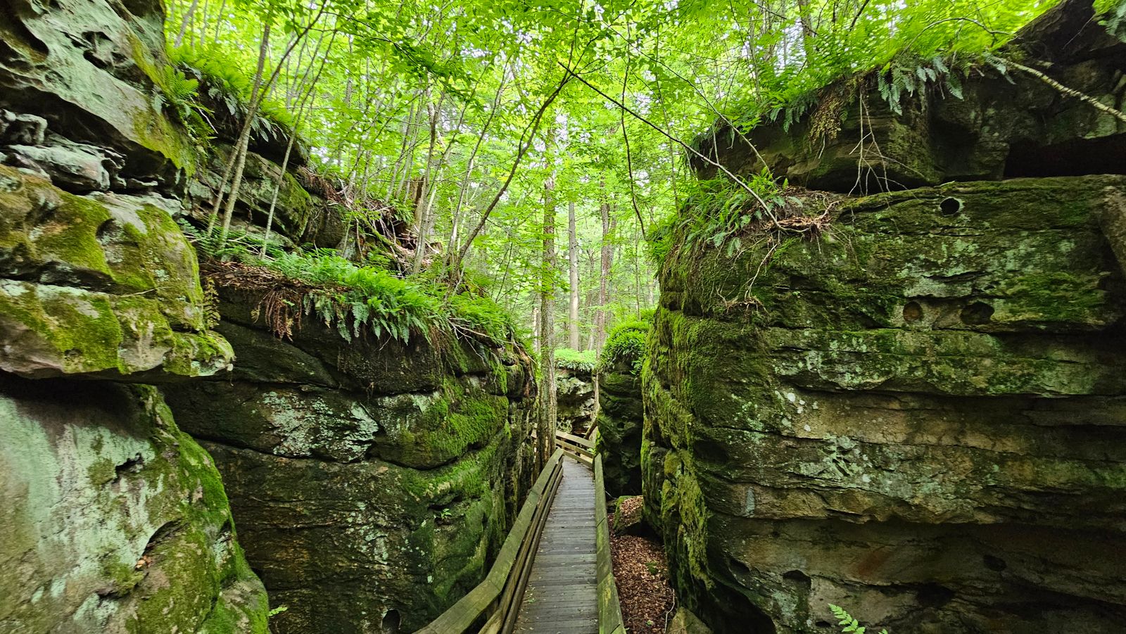 Bear Rocks, West Virginia