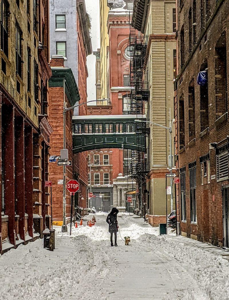 A cobblestone Tribeca side street where Waving Paws walks private dogs