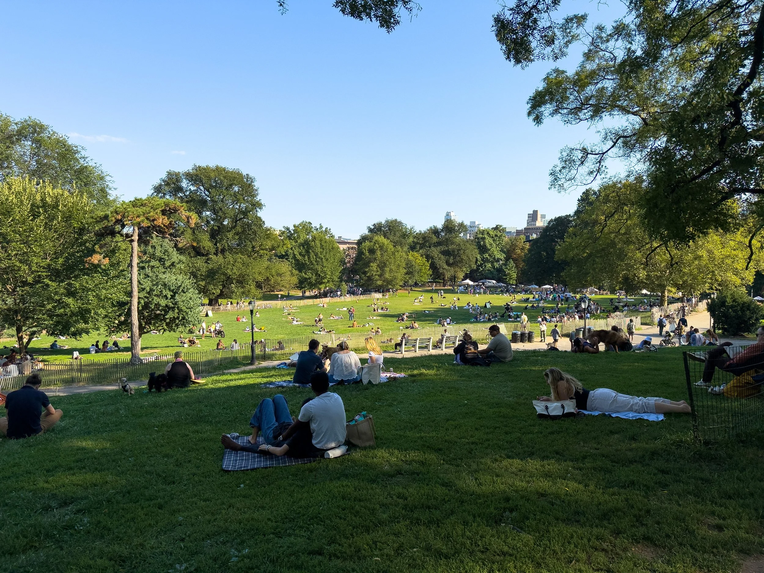 The lawns of Fort Greene Park on a summer afternoon