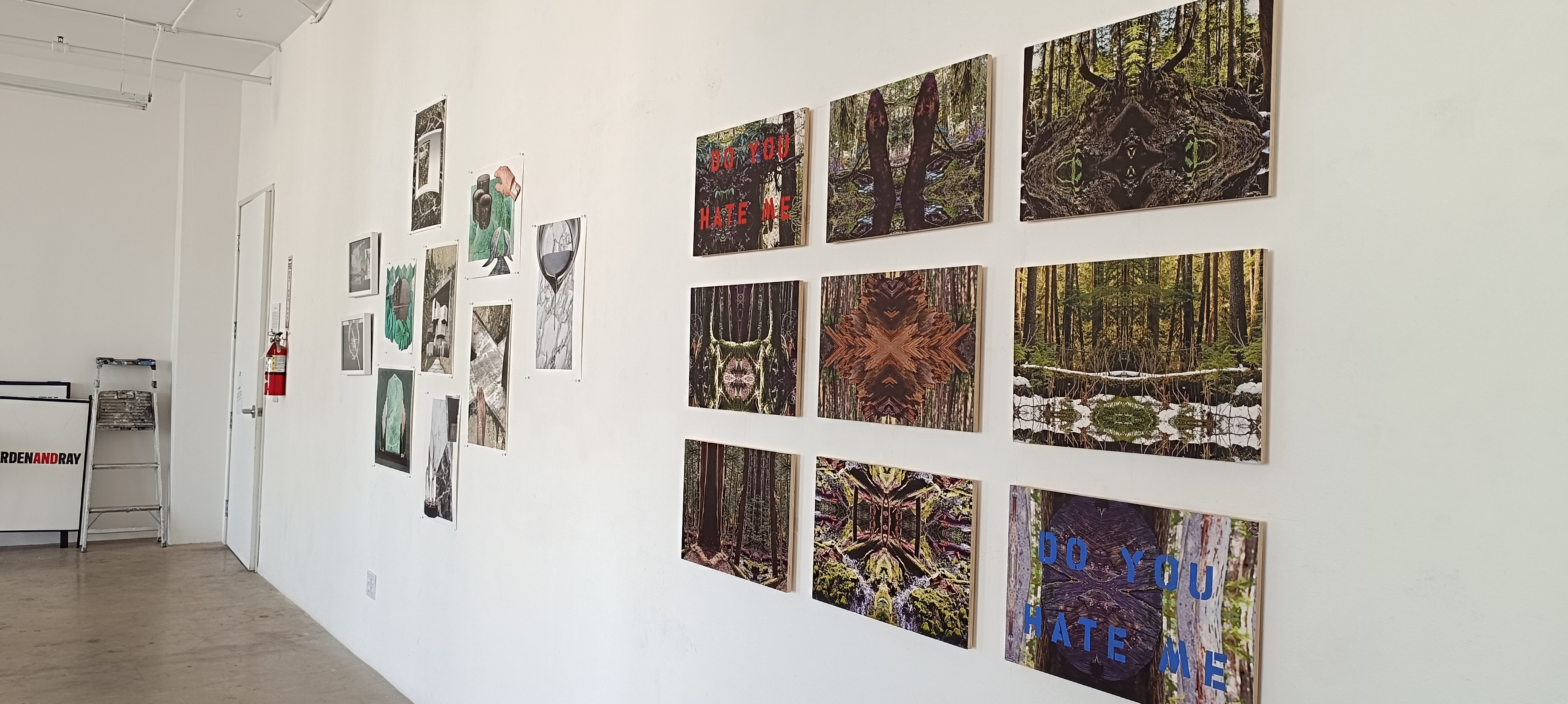 Exhibition installation view, November 2024