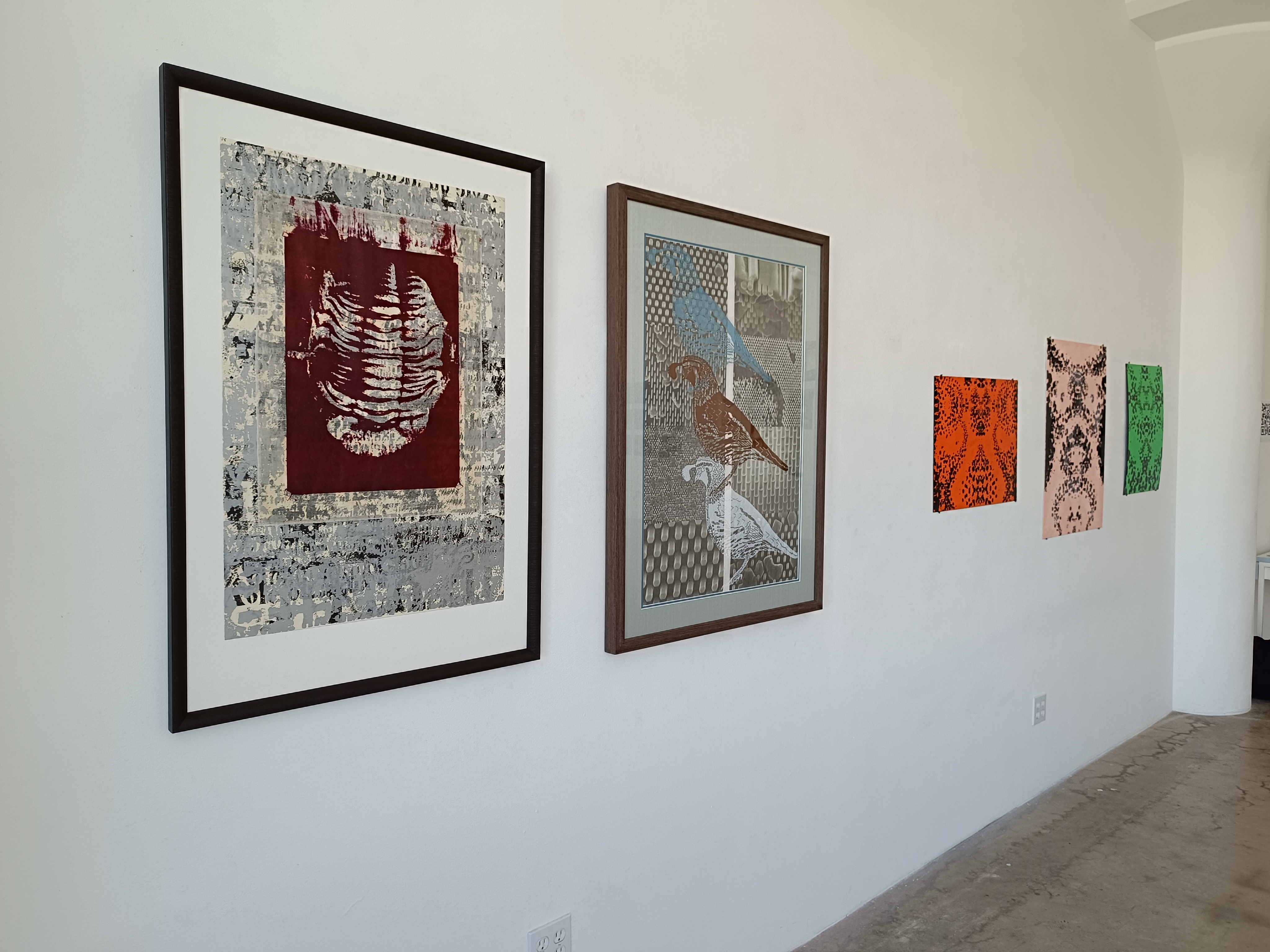 Exhibition installation view, November 2024