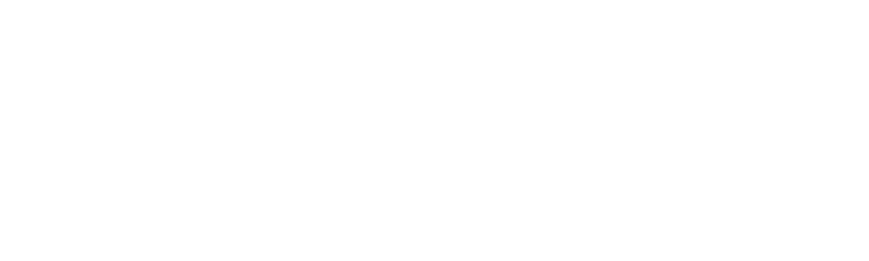 Dabico airport solutions logo