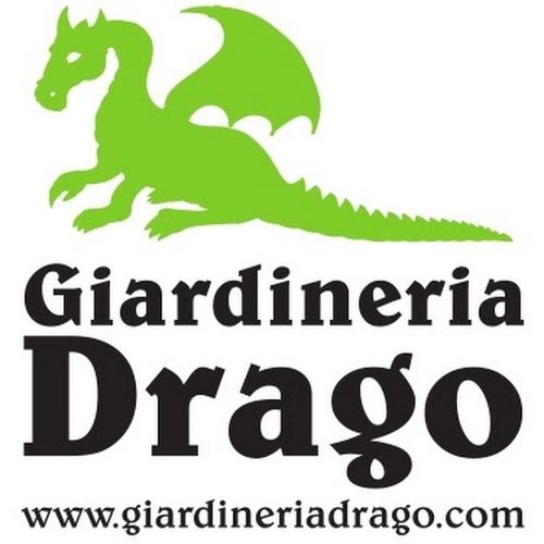 Giardineria Drago