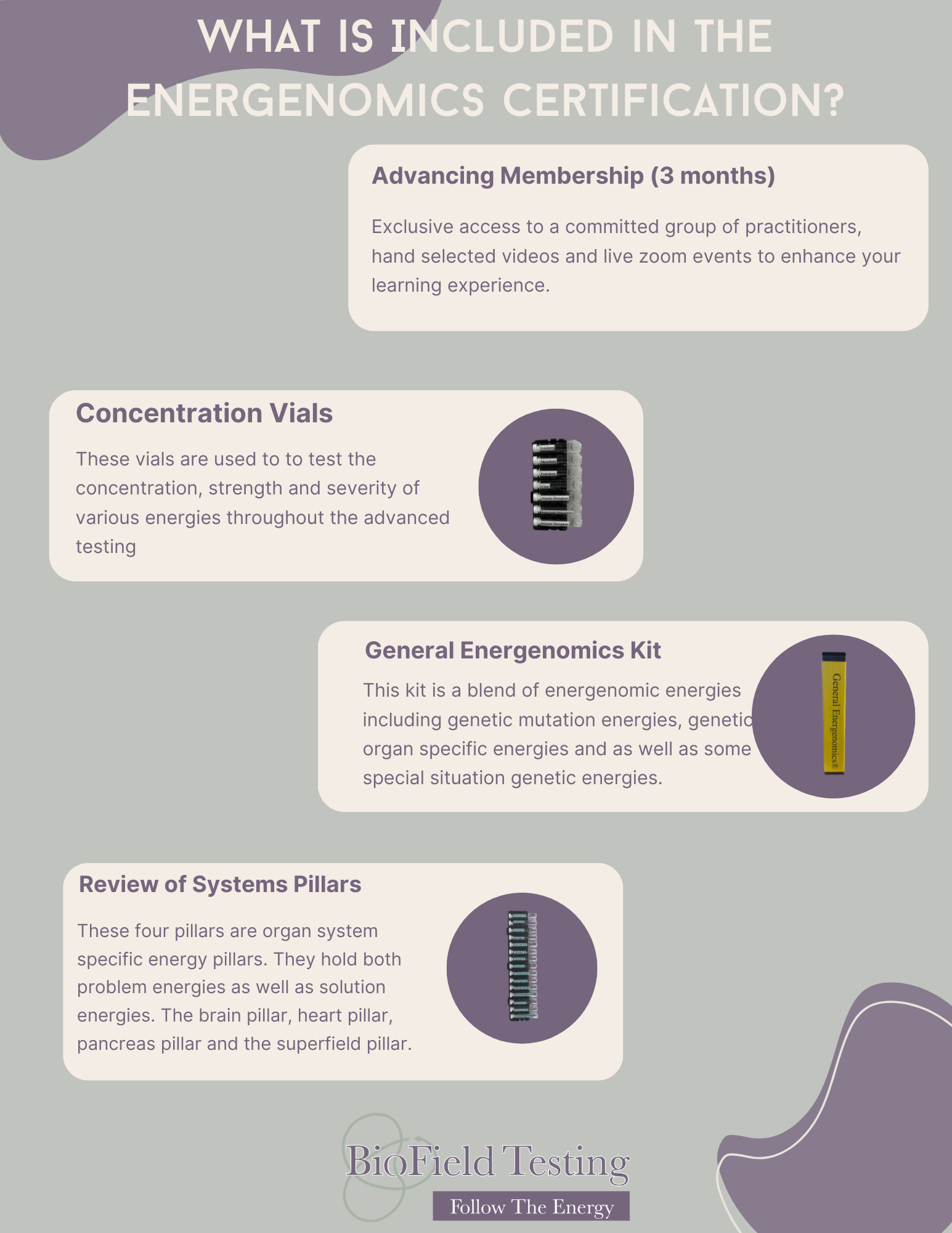 What is included in the Energenomics Certification