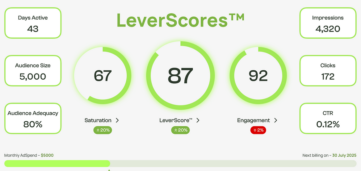 AdLever LeverScores campaign reporting