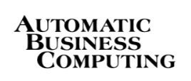 Automatic Business Computing