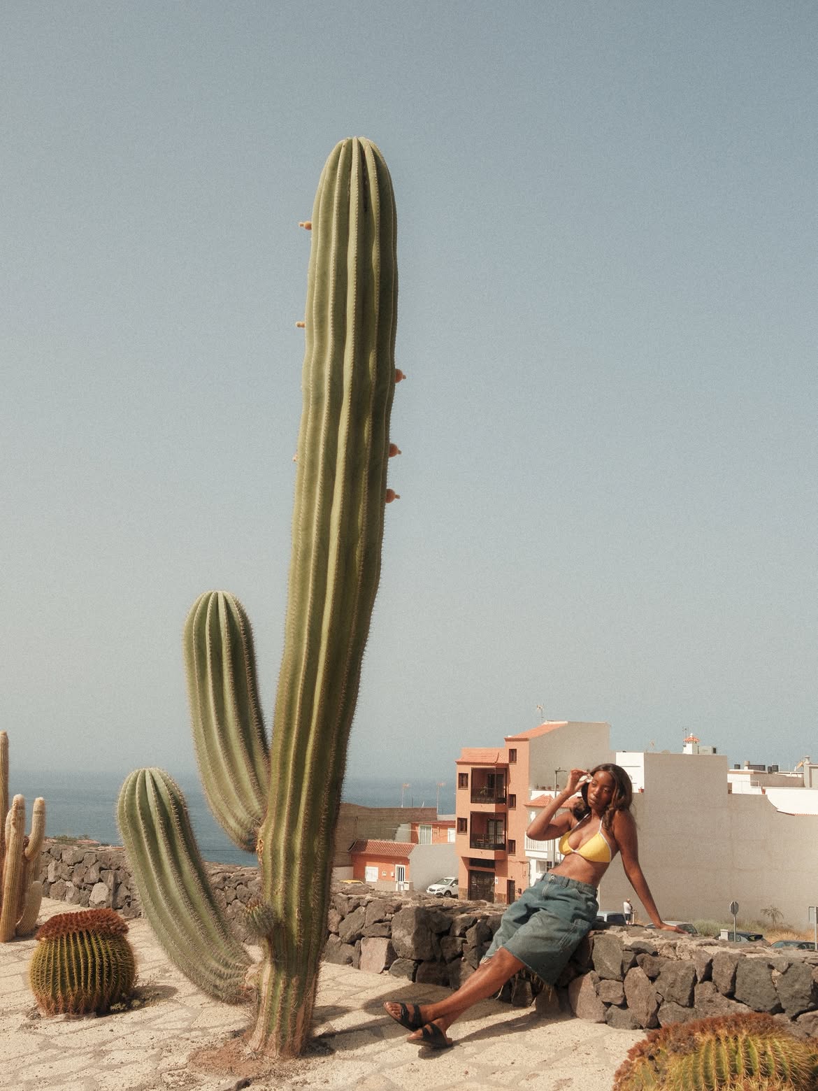tati kapaya - cacti