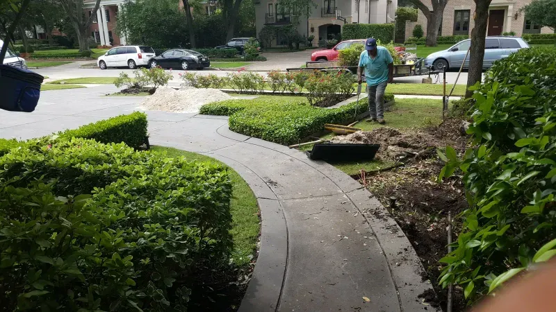 Landscaping crew installing walkway and irrigation