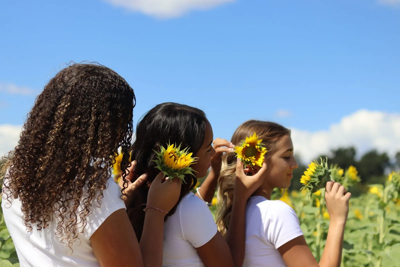 Group portrait in a sunflower field photographed by CarlyArchive