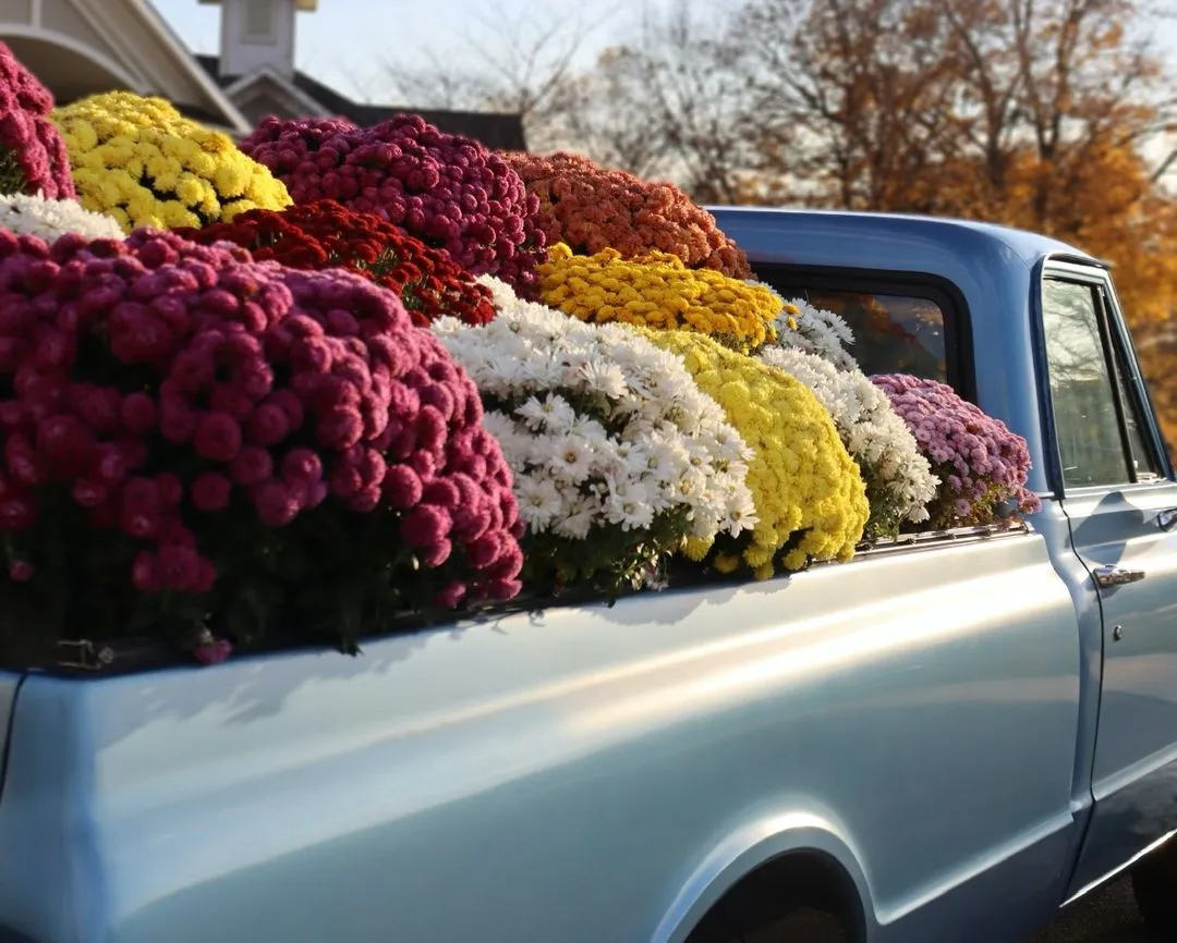 Floral lifestyle detail photographed by CarlyArchive