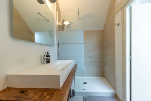 The basin and shower in the bright shower room