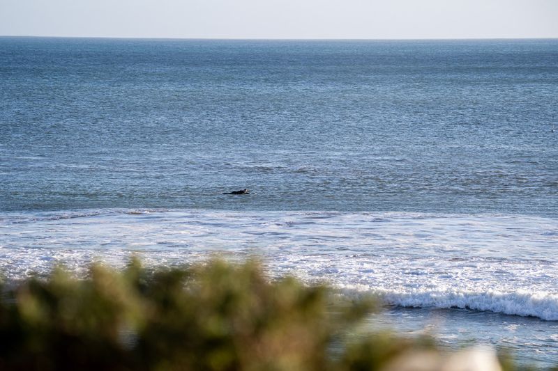 I See Waves surf photography gallery image