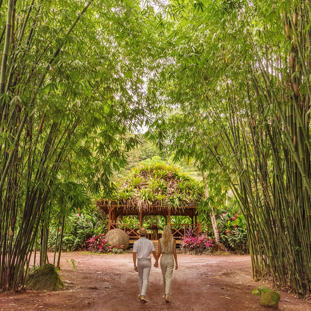 Couple walking a bamboo-lined garden path in Costa Rica