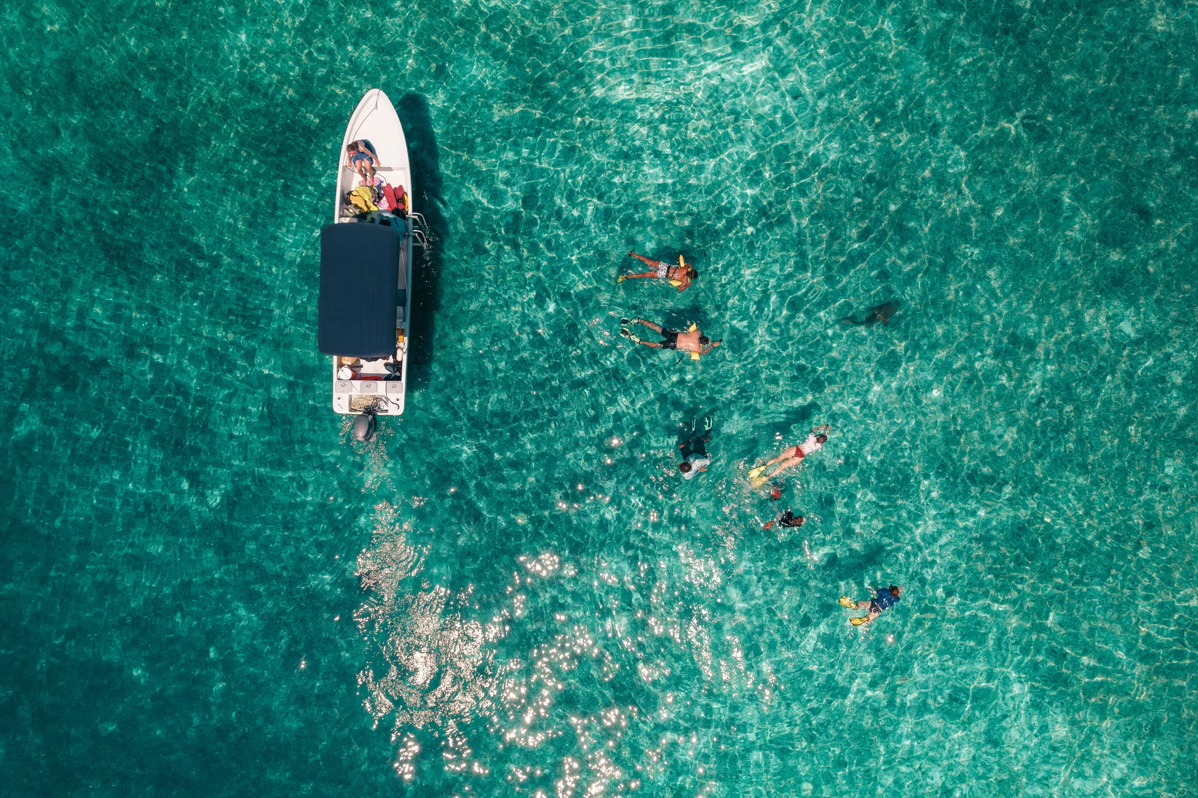 Aerial view of snorkelers beside a boat in turquoise water, Belize