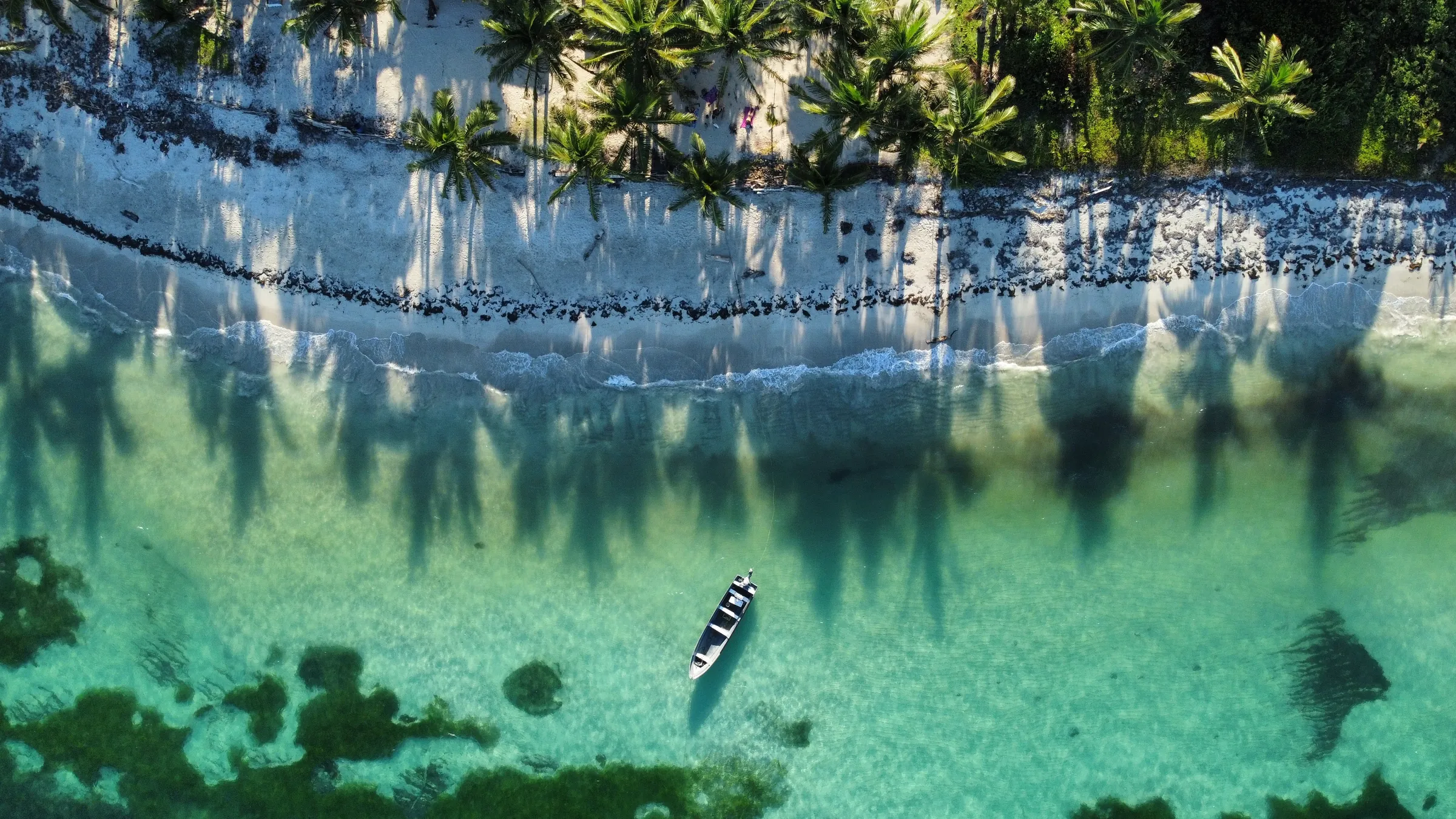 Aerial view of a boat over the reef off a palm-lined Caribbean beach, Nicaragua