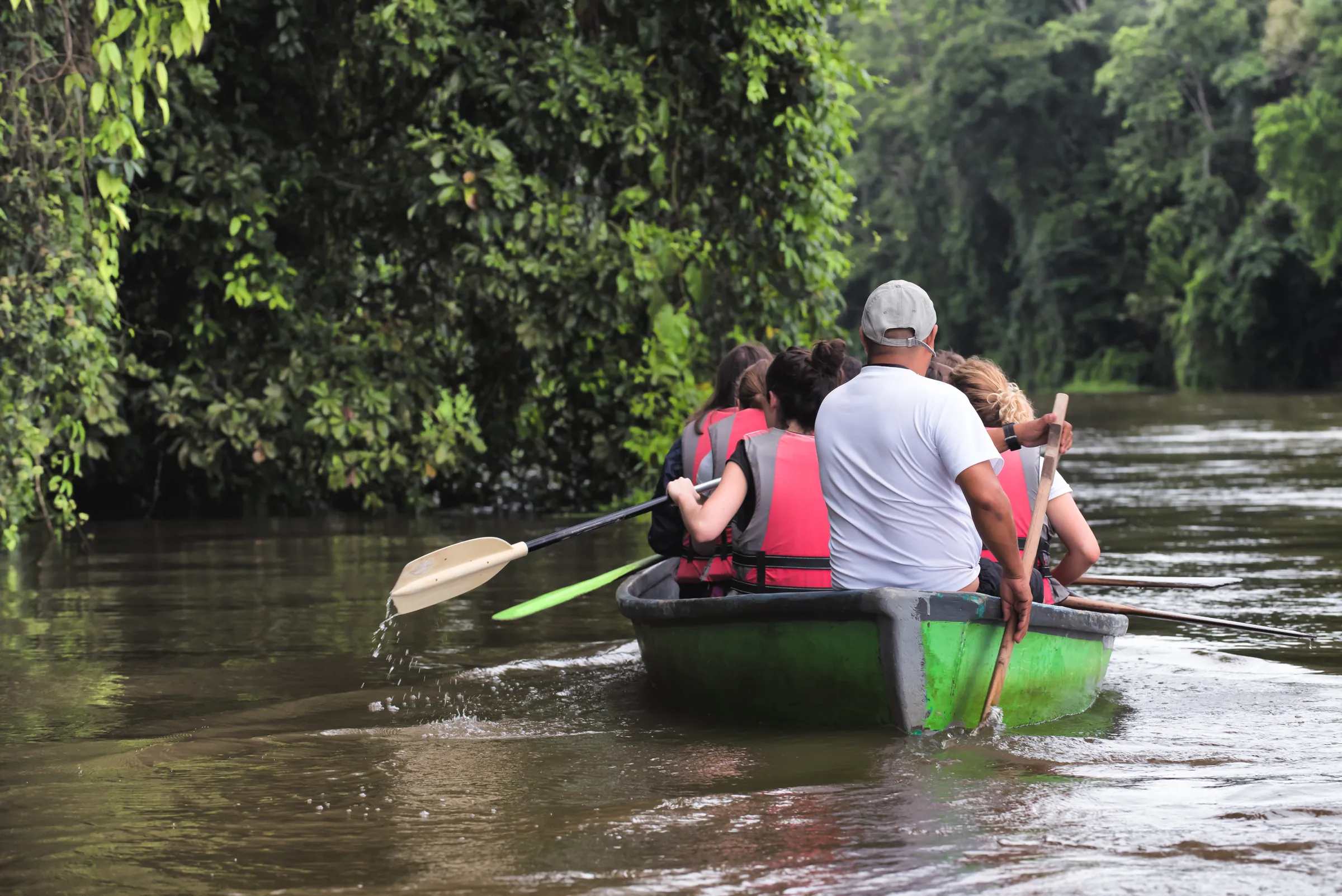 Visitors paddling a canoe on a forest river