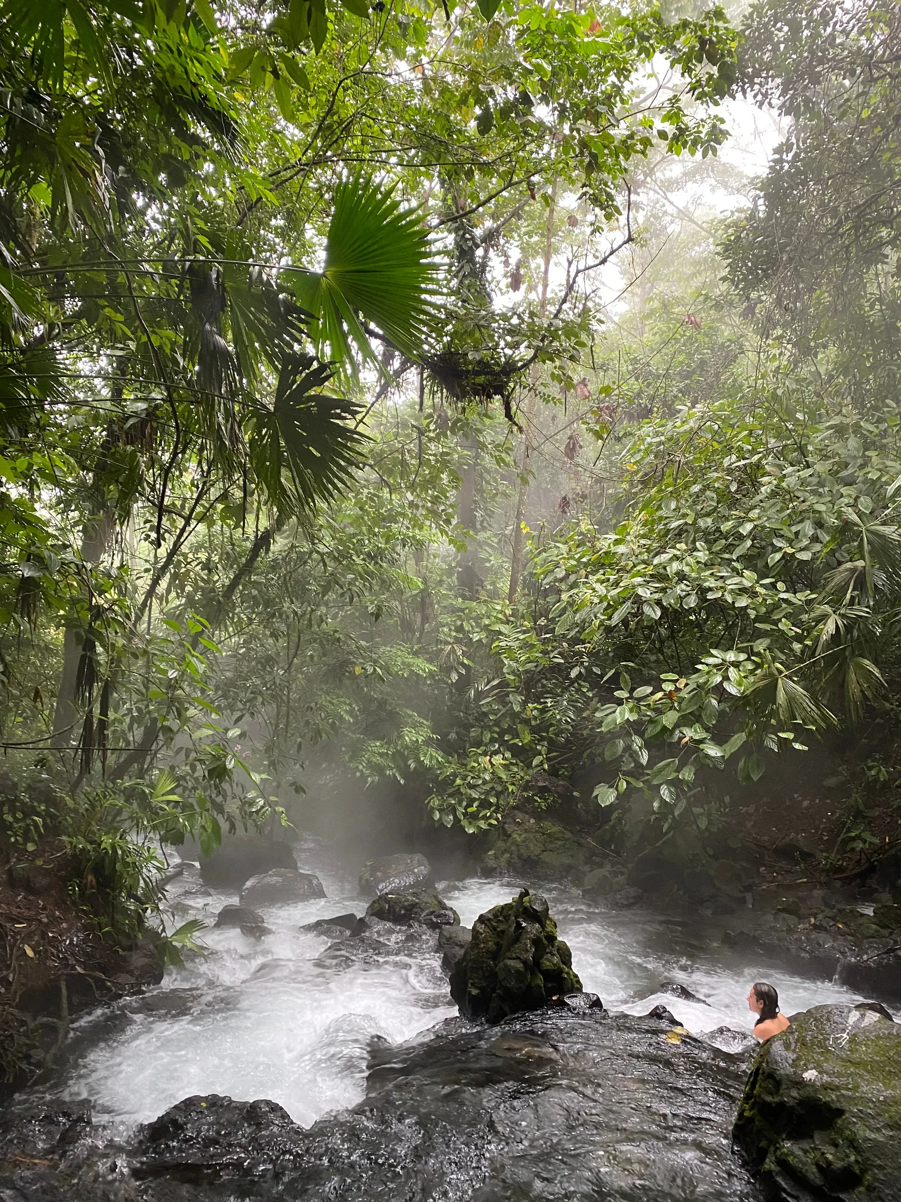 Steam rising off a hot spring river in the jungle, Arenal, Costa Rica