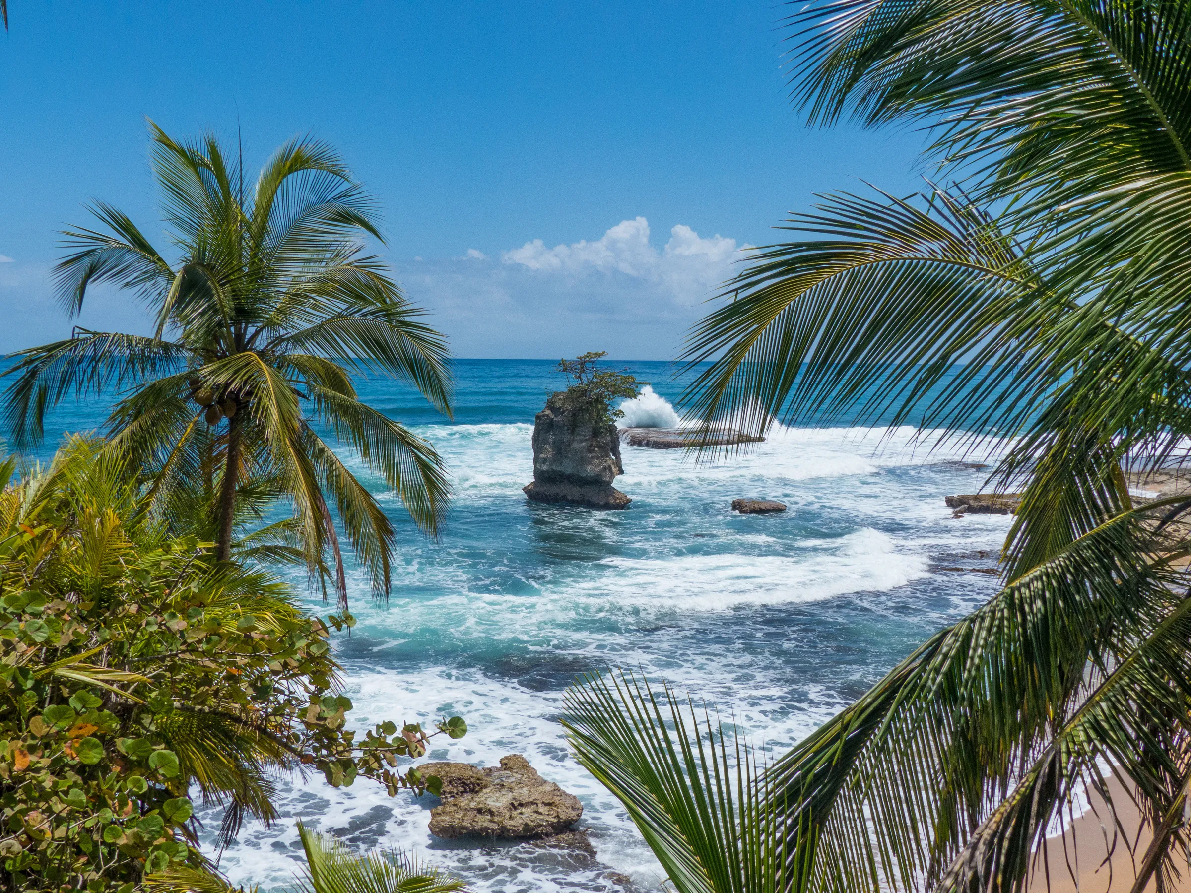 Palms and rocks on Costa Rica’s Caribbean coast