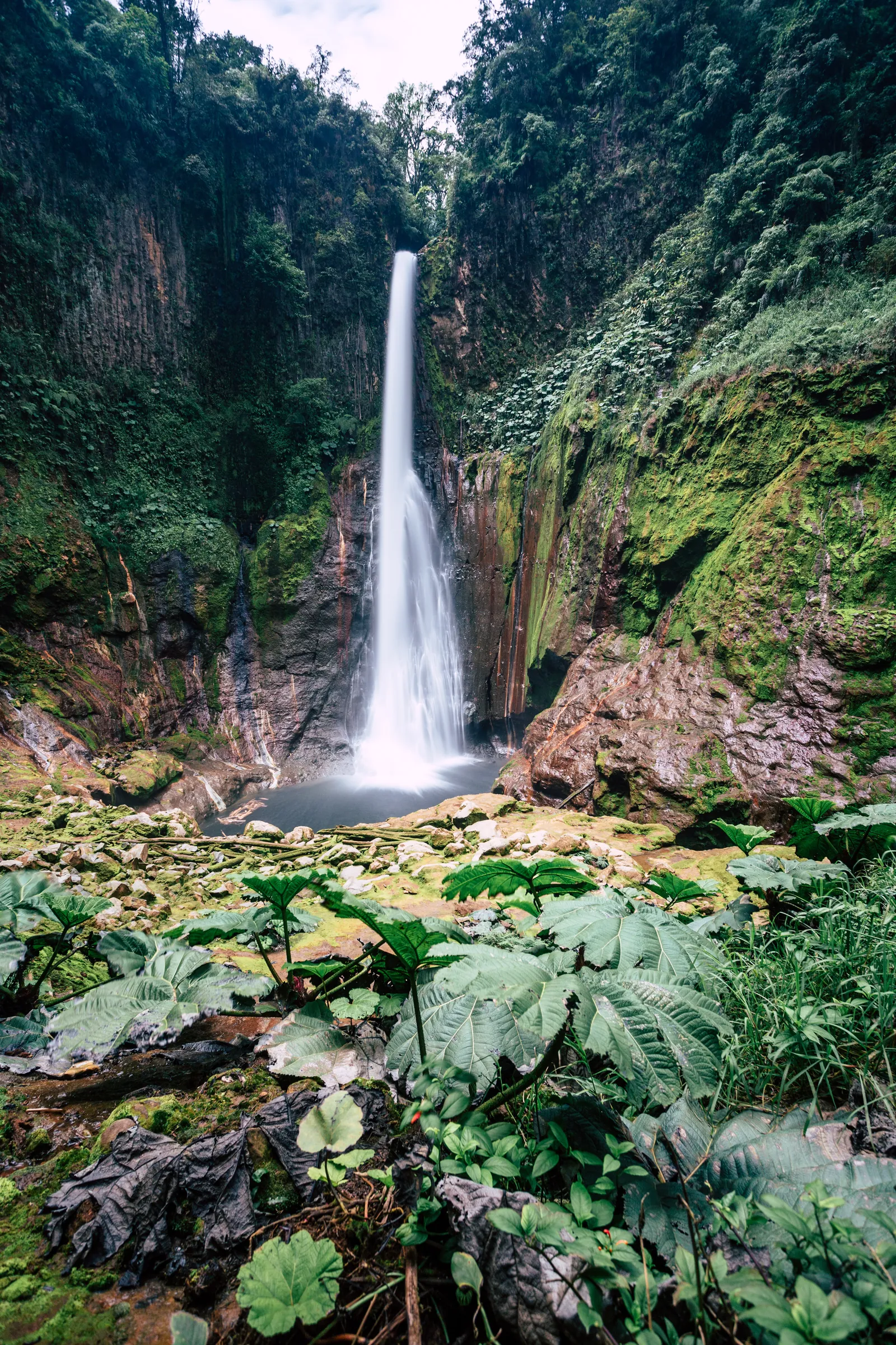 Catarata del Toro waterfall near Bajos del Toro, Costa Rica