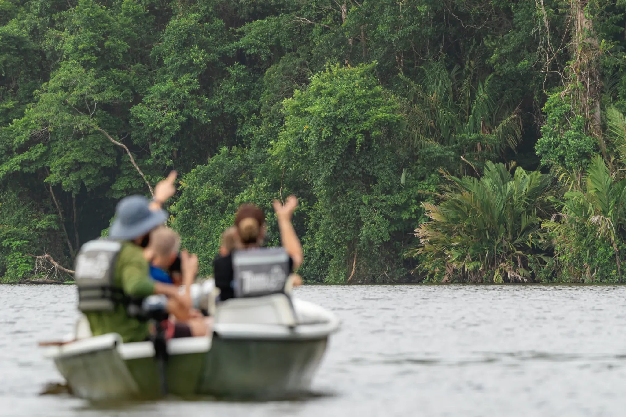 Boat tour spotting wildlife along a rainforest canal in Tortuguero, Costa Rica