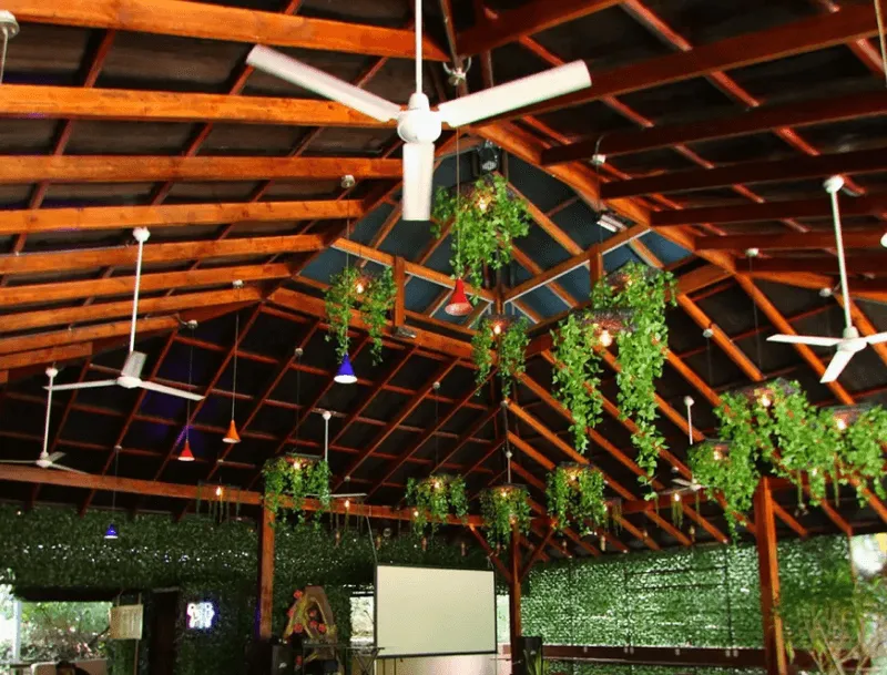 Open-air training hall with hanging plants at Jungle's Edge