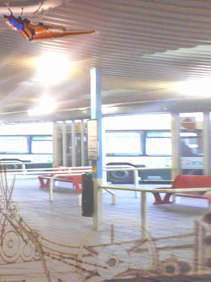 bus stop2.jpg