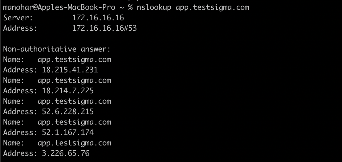 IP Address from NS Lookup