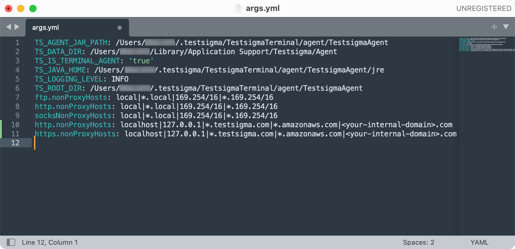Proxy Settings for Agent