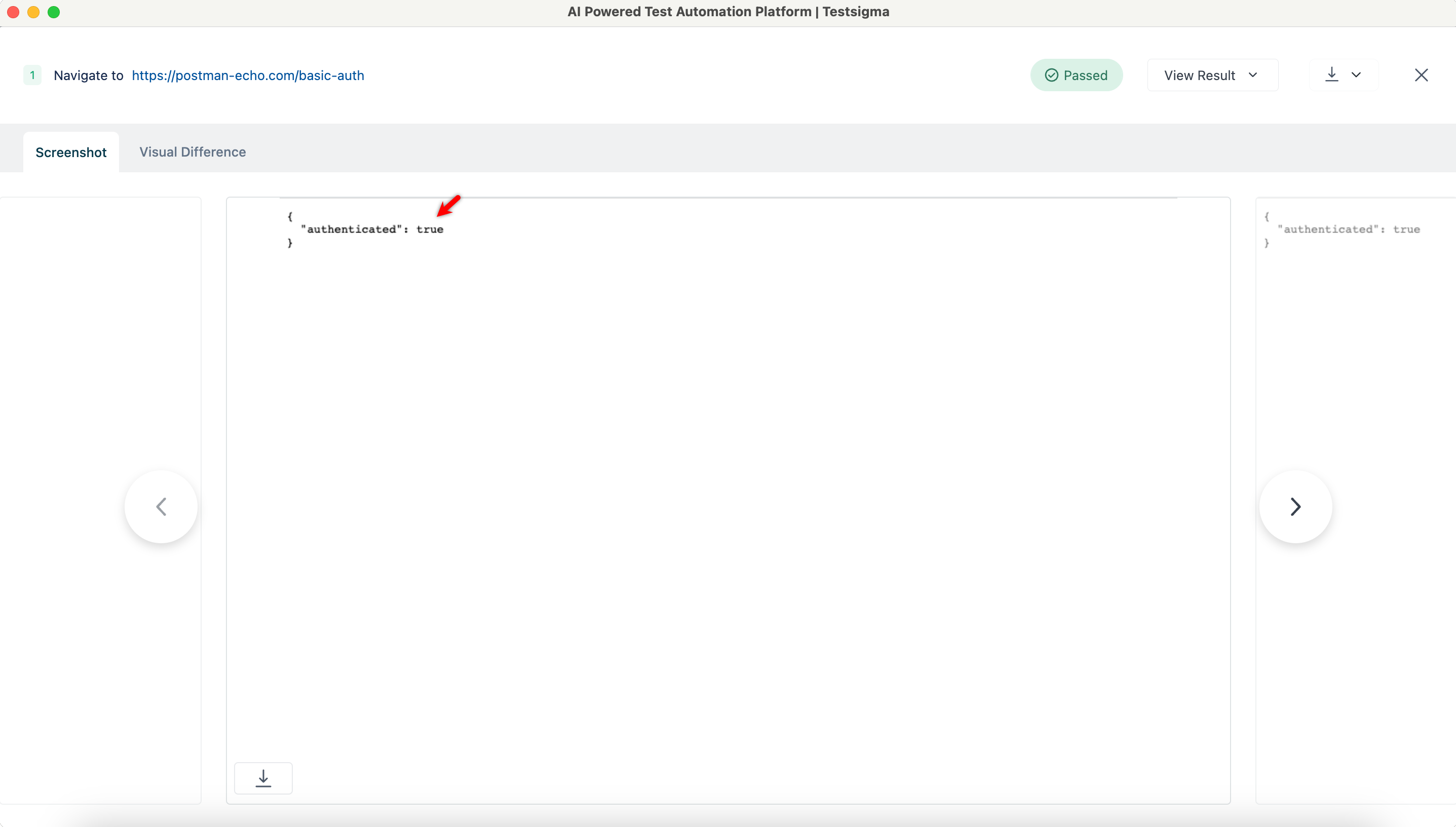 Screenshot of Execution