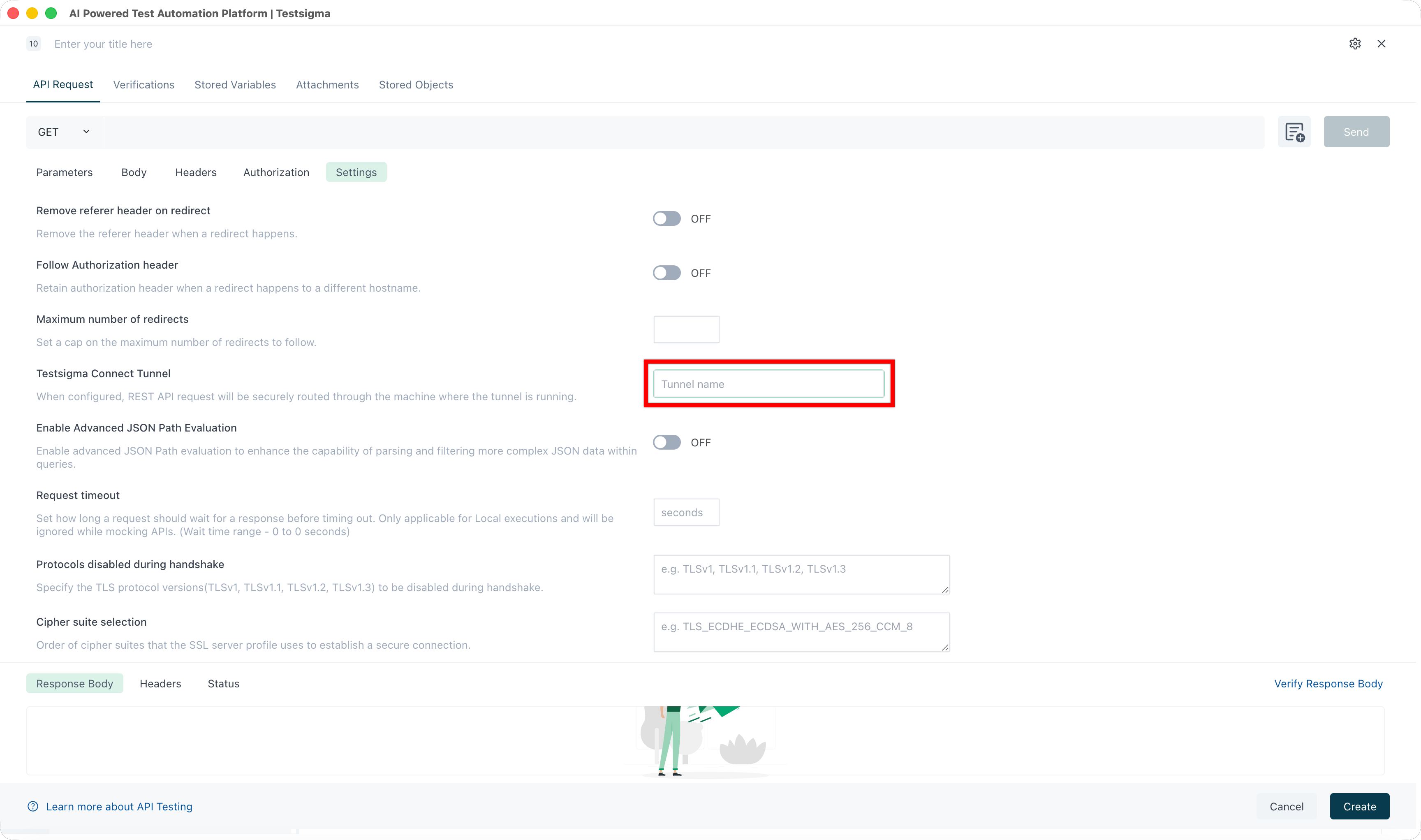 Using Tunnel in API
