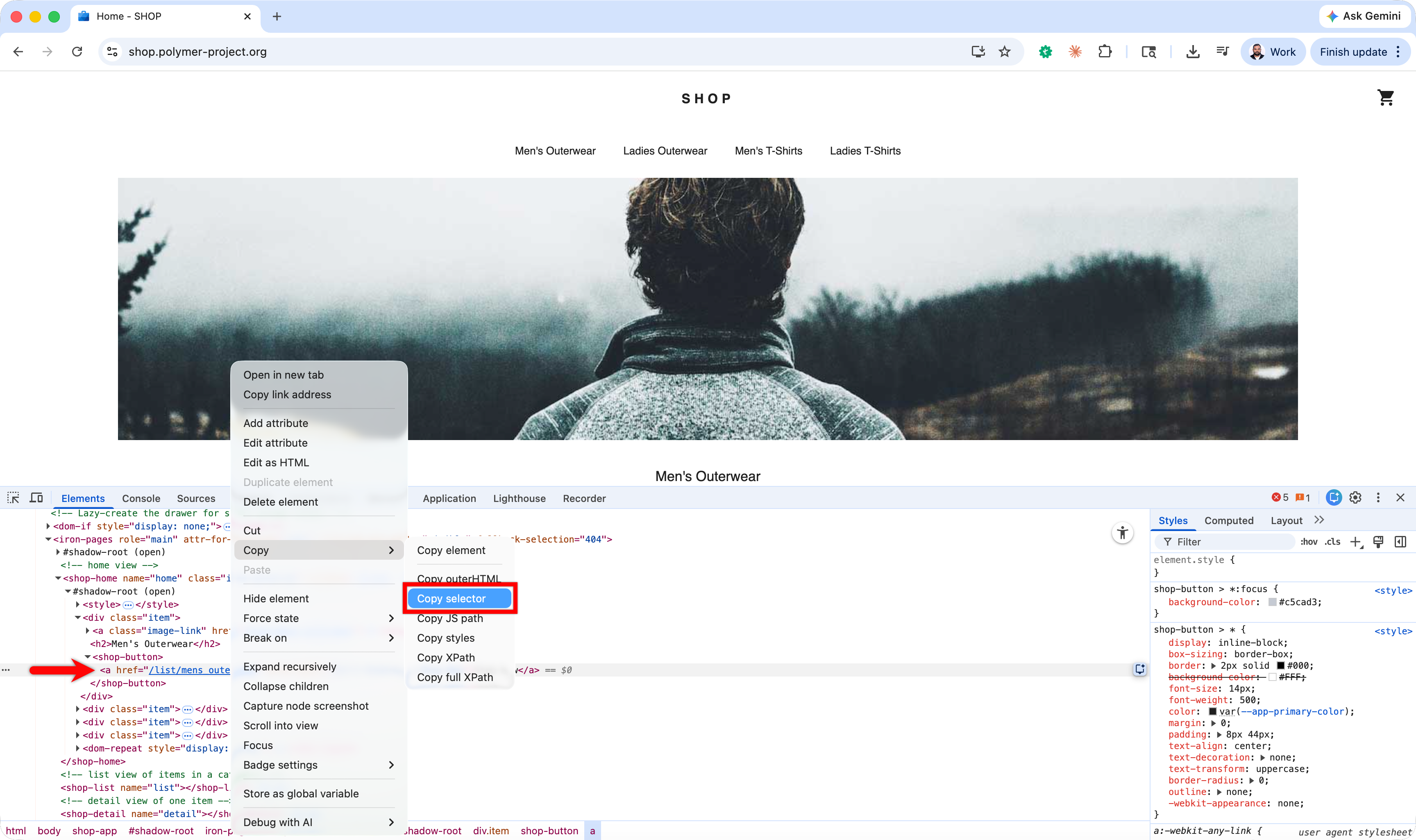 Capture Shadow Dom Element