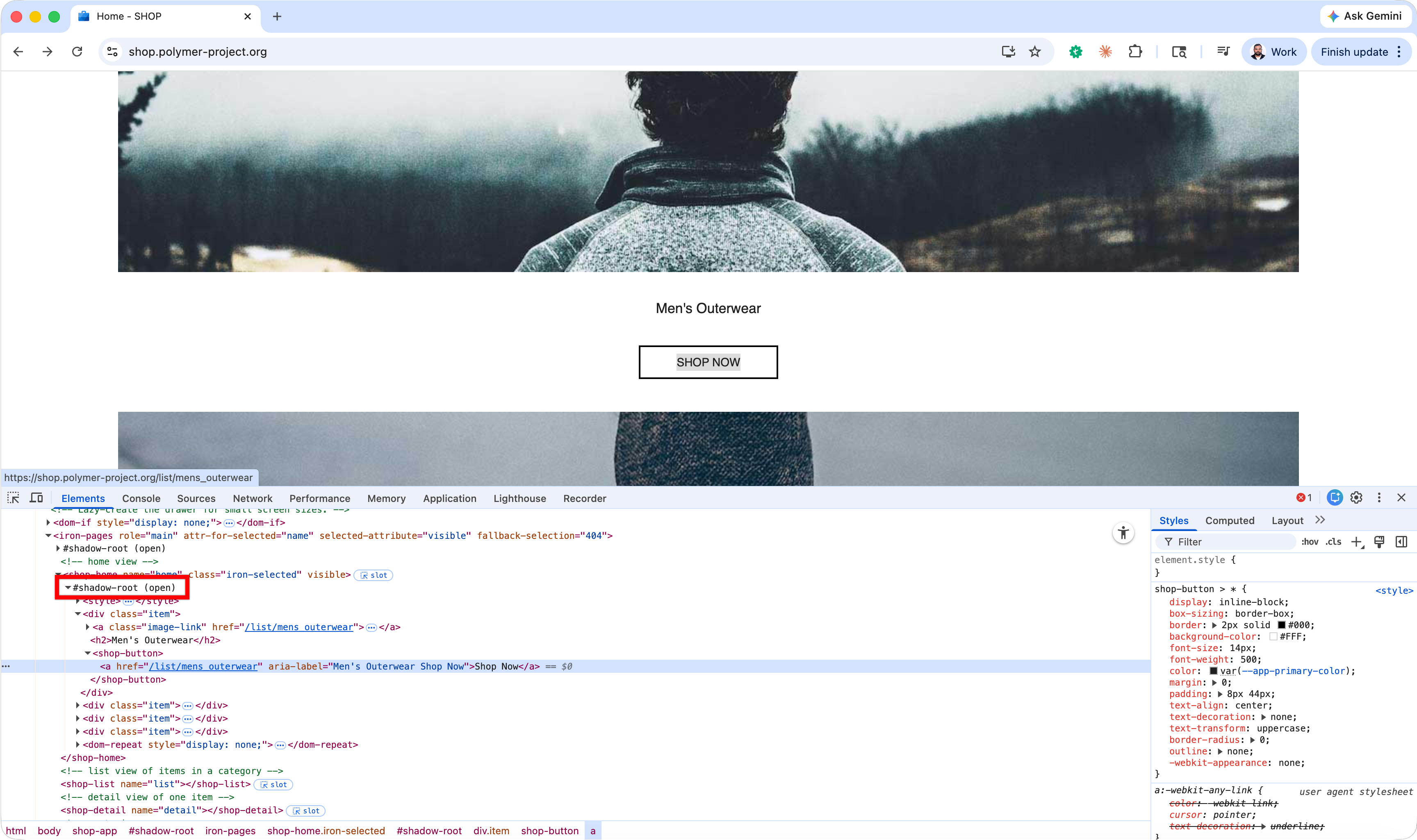 Identify Shadowdom Element