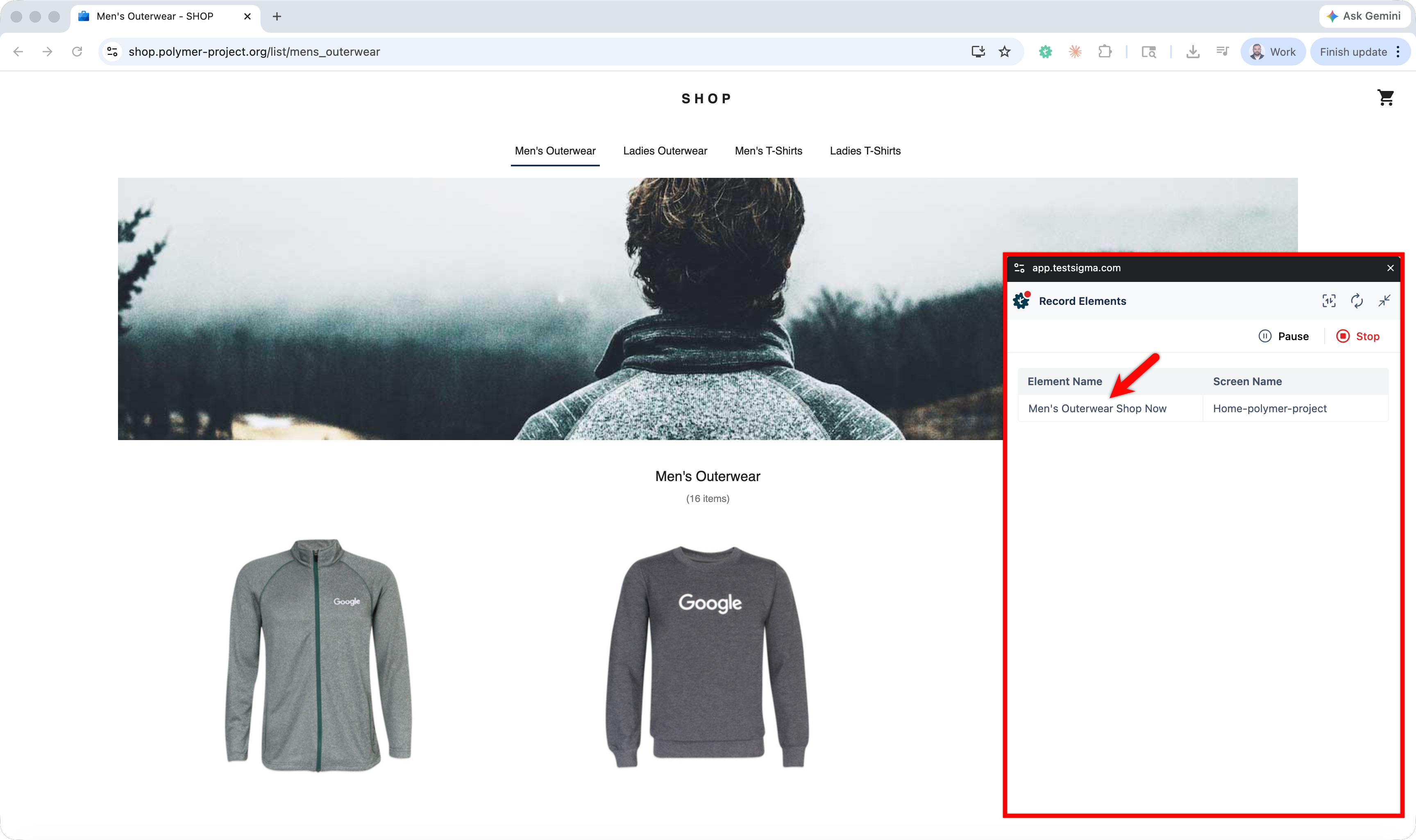record shadowdom element