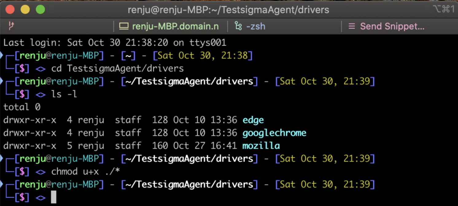 Setting Executable perm form driver files in Testsigma Agent using Terminal